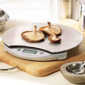 Salter 1003 Stainless Steel Kitchen Scale