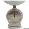 Salter Stainless Steel Kitchen Scale