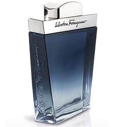 Subtil Homme EDP by Salvatore Ferragamo 100ml