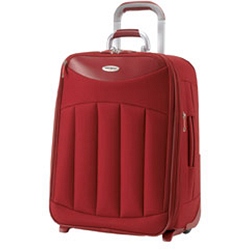 Silhouette 10 Upright 54cm Expandable Case