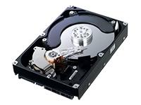 Samsung 1TB hard disk drive Spinpoint F1 RAID Class SATA II 300 7200rpm 32MB cache oem HE103UJ (Manufacturer