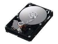 Samsung 1TB HDD Spinpoint F1 SATA II 300 7200rpm 32MB cache Hard Disk Drive oem HD103UJ (Manufacturer` 3yr W