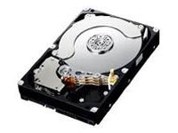 SAMSUNG 2TB SATA-II INTERNAL HDD