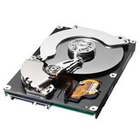 Samsung 750GB Spinpoint F1 SATA II 300 7200rpm 32MB Cache Hard Disk Drive oem (Manufacturer` 3yr Warranty)