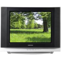 SAMSUNG CW21Z403N