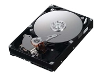 SAMSUNG SpinPoint F1 Desktop Class HD103UJ - hard drive - 1 TB - SATA-300