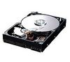 Spinpoint T133S HD401LJ - 400GB - 7200RPM - SATA