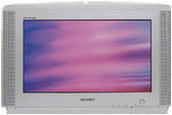 SAMSUNG WS28M064NS