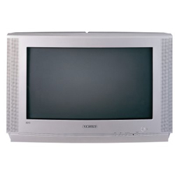 SAMSUNG WS28V53NS