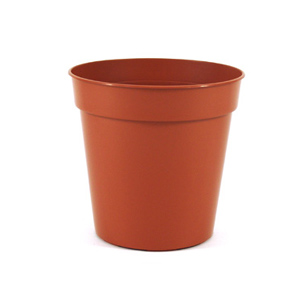 Sankey Bulk Pot Terracotta 10cm/4 Inch