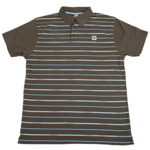 Mens Santa Cruz Duplo Polo Earth