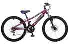 Amethyst 2008 Kids bike