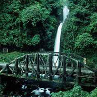 Sarapiqui Canopy and Rain Forest from San Jose Sarapiqui Canopy and Rainforest Tour, from San