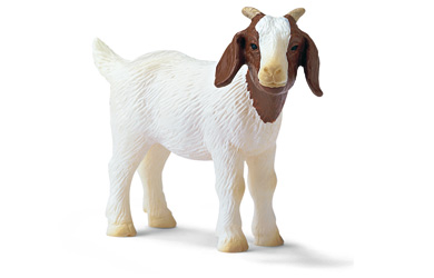 schleich Boer Kid