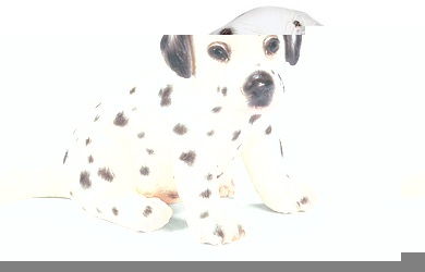 schleich Dalmatian Puppy Sitting