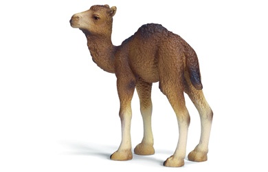 schleich Dromedary Foal