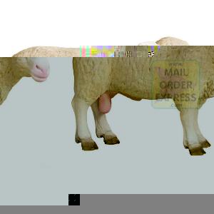 Schleich Ram Male Sheep