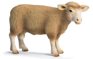 schleich Ram