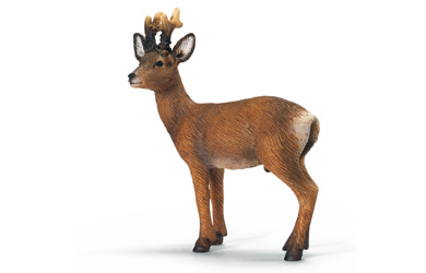 Schleich Roebuck