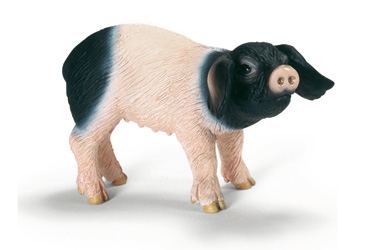 Schleich Swabian-Hall Piglet