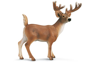 schleich White Tailed Buck