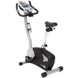 Schwinn 122 Upright Exercise Bike