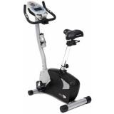 Schwinn 123 Upright Bike