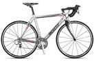 Speedster S10 CD 2008 Road Bike