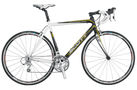 Speedster S40 18 speed 2009 Road Bike