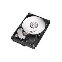 Seagate Barracuda 7200.8 300GB (7200RPM) Ultra