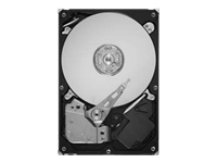 Barracuda LP ST32000542AS - hard drive -