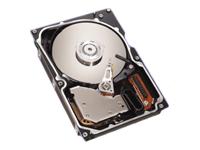 Cheetah 10K.6 - Hard drive - 73.4 GB - standard - 3.5" - Ultra320 SCSI - 10000 rpm - 8 MB