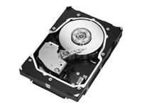 Cheetah 15K.5 - hard drive - 146.8 GB - SAS