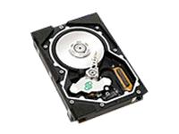 Cheetah X15-36LP - Hard drive - 36.7 GB - standard - 3.5" - SCSI Ultra320 - 15000 rpm - 8 MB