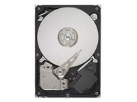 SEAGATE Momentus 5400 FDE.3 ST9160319AS - hard drive - 160 GB - SATA-300