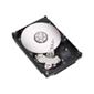 Seagate ST3250623NS