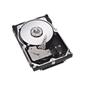 Seagate ST3300007LC