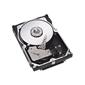 Seagate ST3300007LW