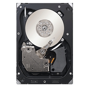 Seagate Cheetah 15K.7 ST3450857SS 450 GB