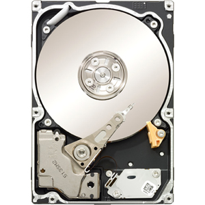 Seagate Constellation ES ST31000425SS 1 TB