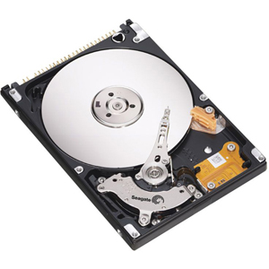 Seagate Momentus ST9750420AS 750 GB Plug-in