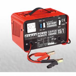 Professional Battery Charger 30Amp 12/24V