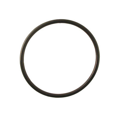 Sealife DC500 Replacement O-Ring