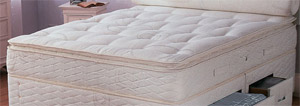 Sealy Pillow Comfort- 4 ft 6" Mattress