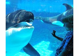 SeaWorld San Diego Day Tour from Anaheim - Child