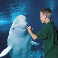 Seaworld San Diego with FREE Transportation Seaworld San Diego incl FREE Transportation