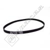 Sebo Primary Drive Belt (5463)