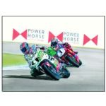 signed Colin Edwards print