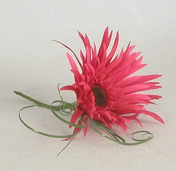 Gerbera Buttonhole