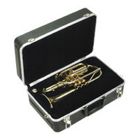 -325 Cornet Case